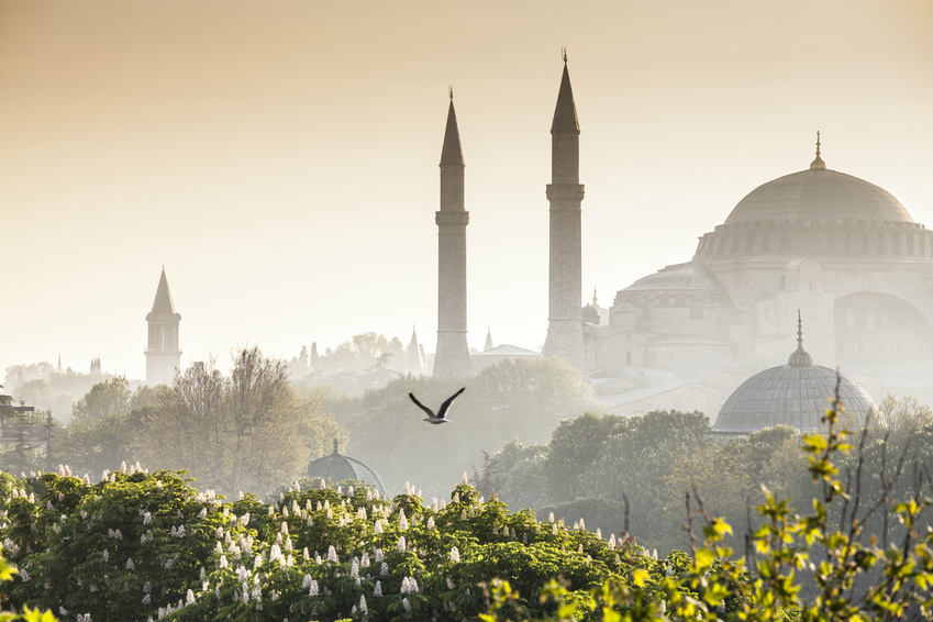 Online buchen Öger Tours