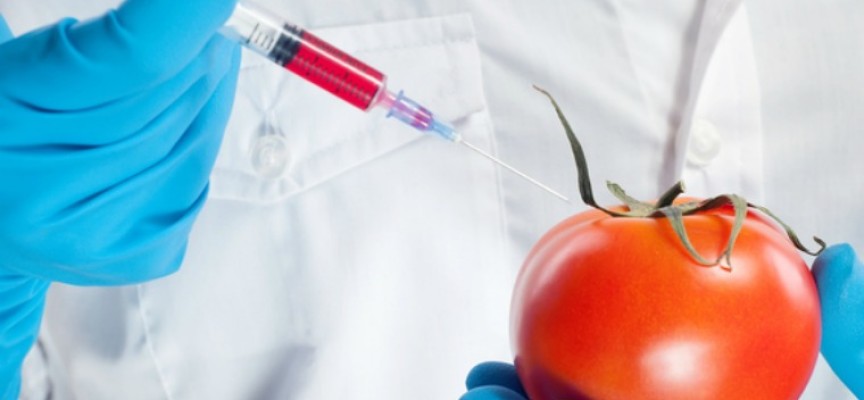 Der Monsanto-Bayer-Deal, welche Auswirkungen hat er auf Europa und den Rest der Welt?