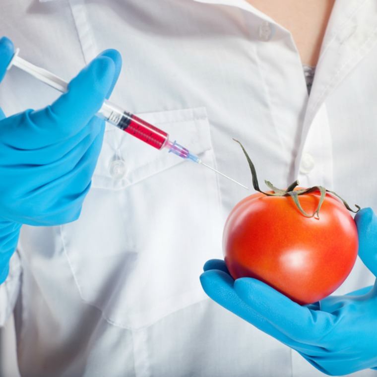 Person steckt Spritze in Tomate