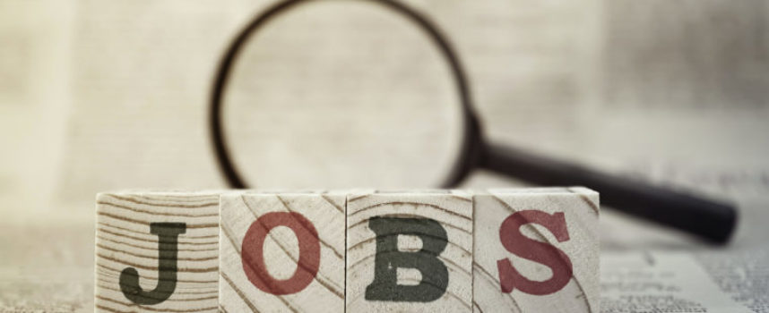 Stellenanzeigen verstehen – was steckt hinter den Formulierungen?