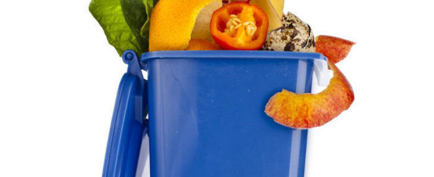 Initiative SAVE FOOD dämmt weltweite Lebensmittelverschwendung ein