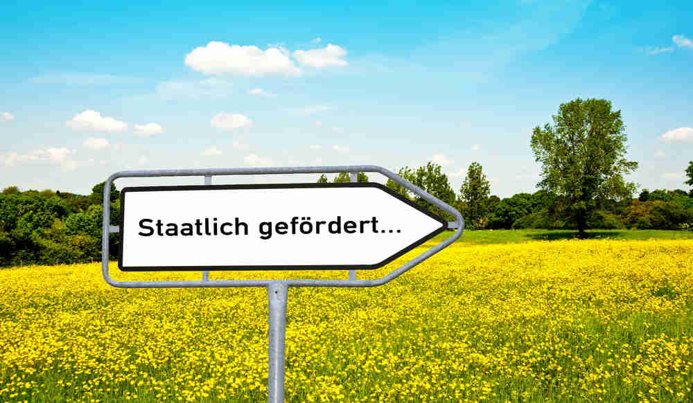 staatliche förderung