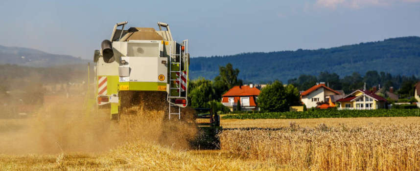Subventionen für Landwirtschaft und erneuerbare Energien – langfristig wirklich sinnvoll?